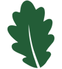 39k trees - oak leaf