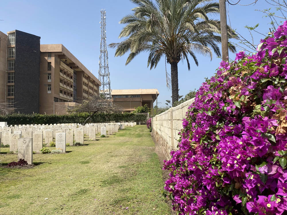 Headstones and colourful purple plants sit underneath a palm tree at Hadra Alexandria War Cemetery.