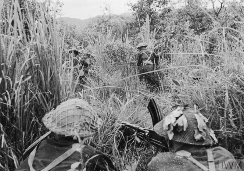 British soldiers move through long tropical grass in the jungle searching for Japanese snipers.