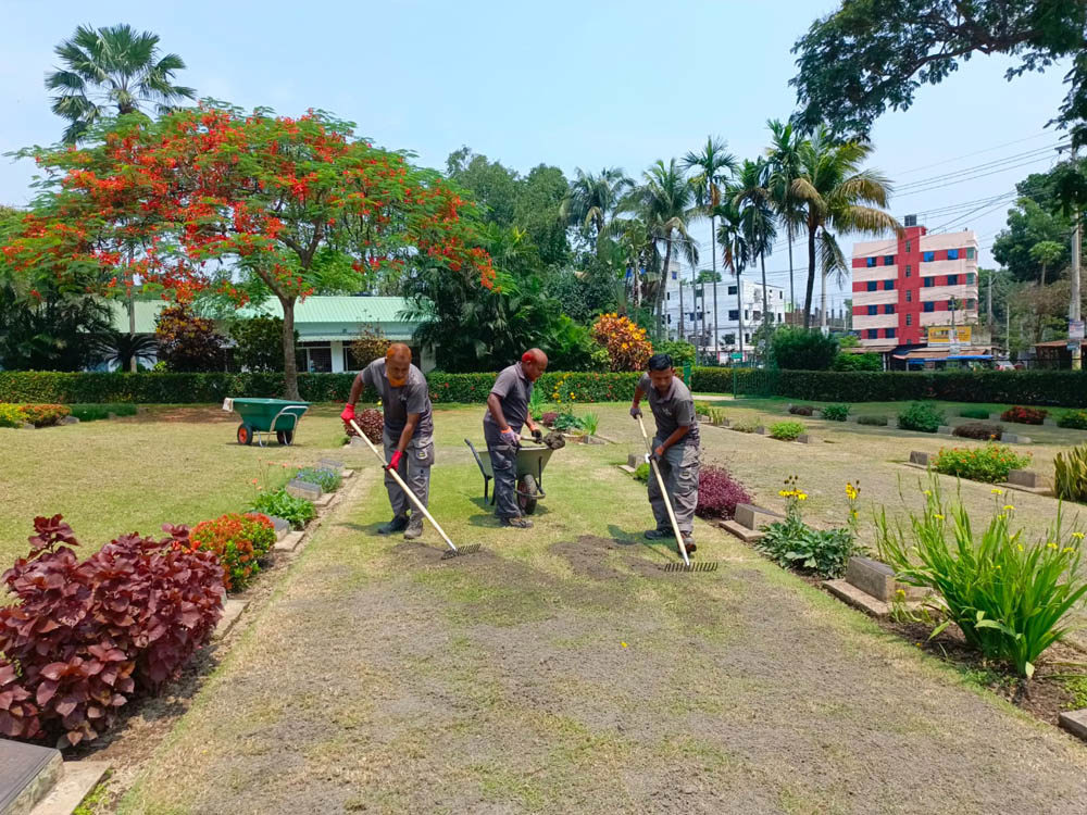 Workers raking the lawn at Maynmati War Cemetery.
