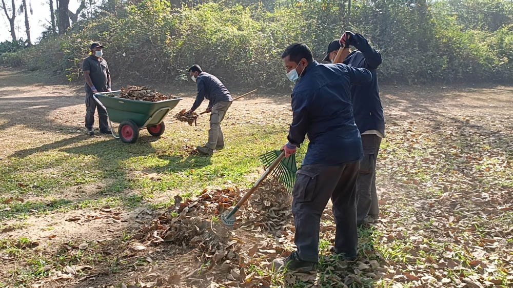 Horticulture workers raking leaves into a wheelbarrow.