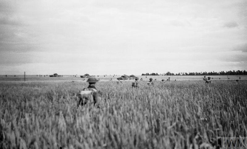 Scottish Infantry walking through shoulder-high cornfields in Normandy during Operation Epsom. A line of Churchill tanks is visible on the horizon.