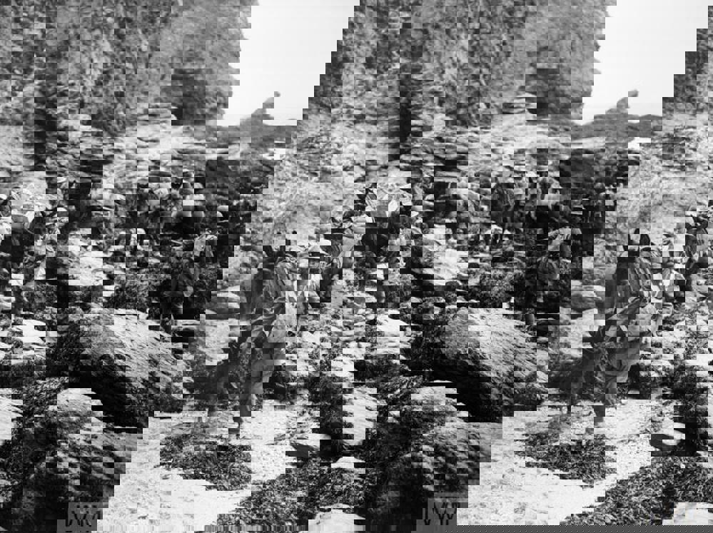 Indian Army logistics troops guide laden mules over rocky ground in the Welsh Mountains on a training exercise during the Second World War.