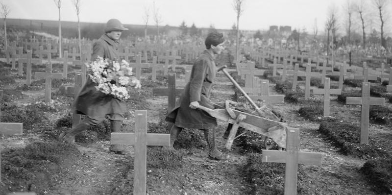 Women at War: The Courageous women who served and fell in the World Wars