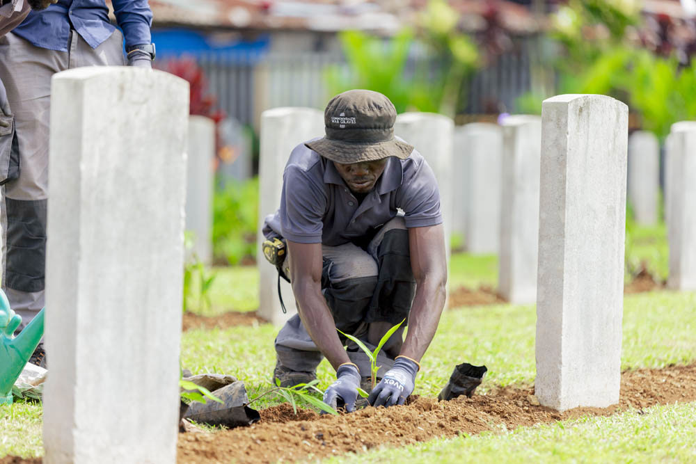 CWGC gardener planting plants in a border at King Tom War Cemetery