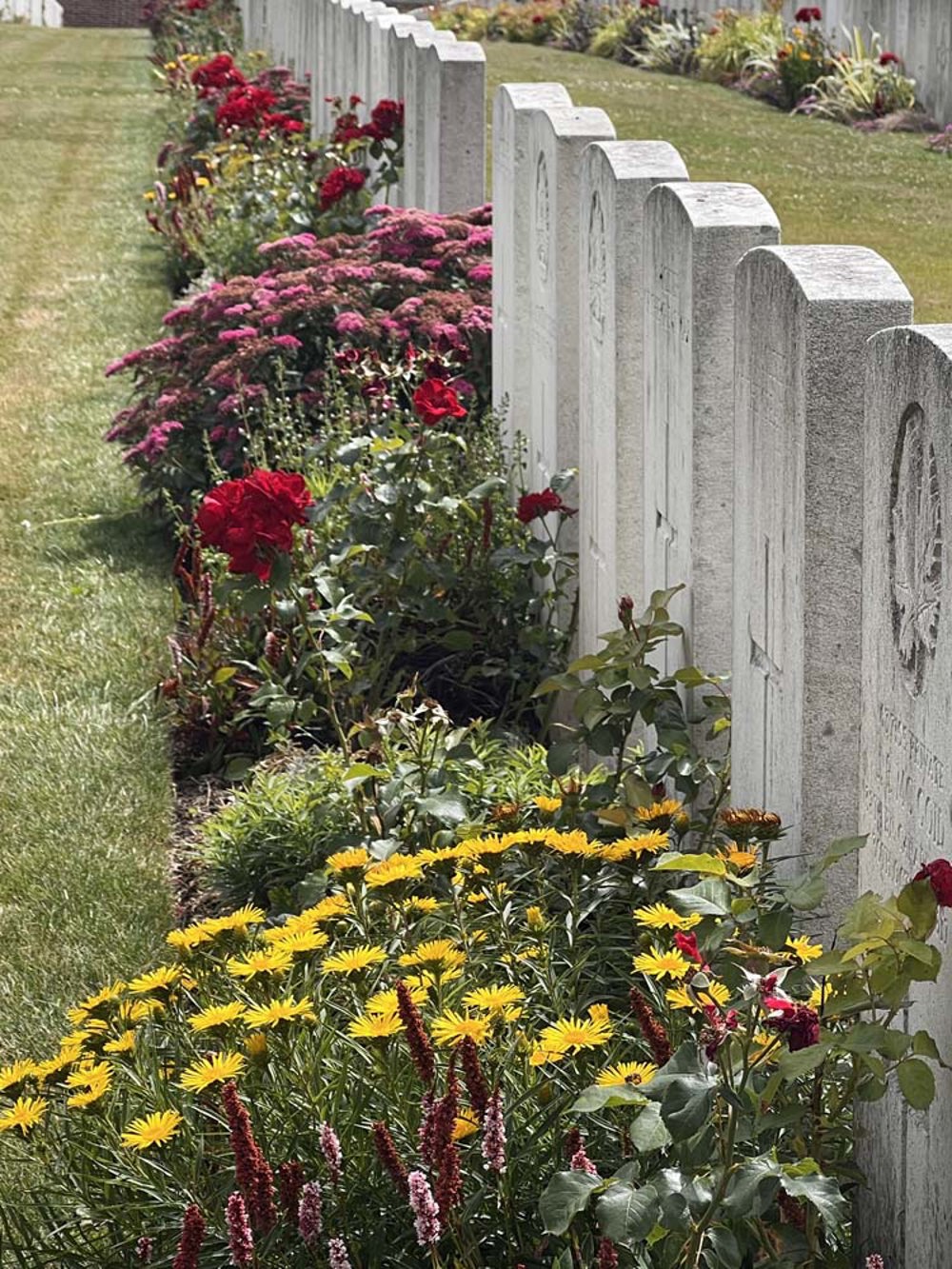 Various species of colourful flowers in the borders of CWGC headstone plots.