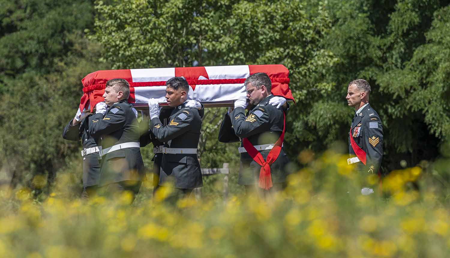 First World War Canadian serviceman reburied in ceremony at Loos British Cemetery Extension