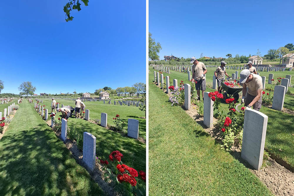 Left to right: A tree casts a shadow over CWGC gardners working in Coriano Ridge War Cemetery; CWGC gardeners trim red roses next to CWGC headstones.