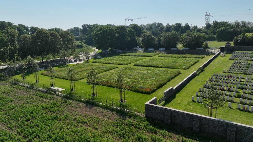 Flower meadows at Loos British Cemetery Extension