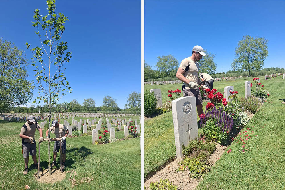 Left to right: CWGC gardners planting an olive tree; CWGC worker trims rose bushes next to a headstone.