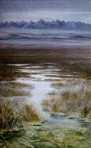 Painting of the Dead Marshes of Middle-earth. In the foreground, beneath a patch of spotty reeds, ghostly faces lie beneath the eerie greenish waters that lead into a boggy fen, stretching all the way to low dark hills and foreboding mountain peaks in the distance.