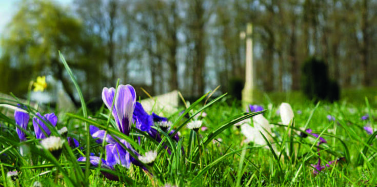 Commonwealth War Graves Commission’s Sustainability Update: Our 3rd annual progress report