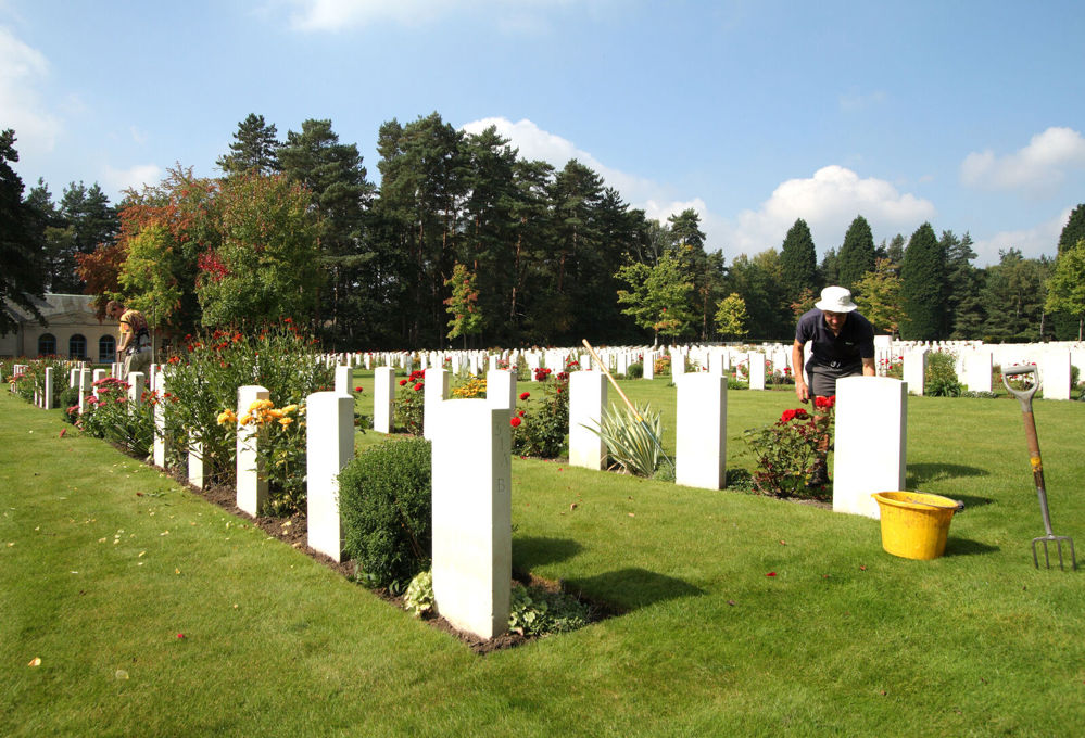 A CWGC gardener tending to rose plants in the borders of a headstone burial plot in Brookwood Military Cemetery.
