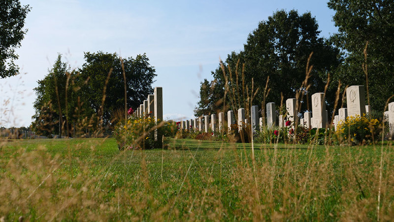 A row of headstones at Arnhem Oosterbeek War Cemetery. The photo has been shot from a low angle with gold coloured grass in full view of the lense, contrasting with the green lawn and white of the headstones in the background.