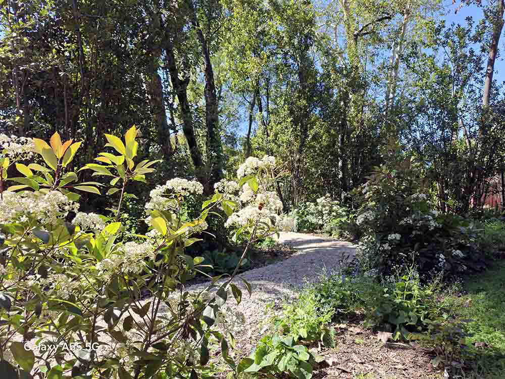 A sensorial garden path at Rome War Cemetery, showing a gravel path winding past various trees and plant speicies.