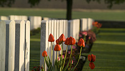 Information on the CWGC