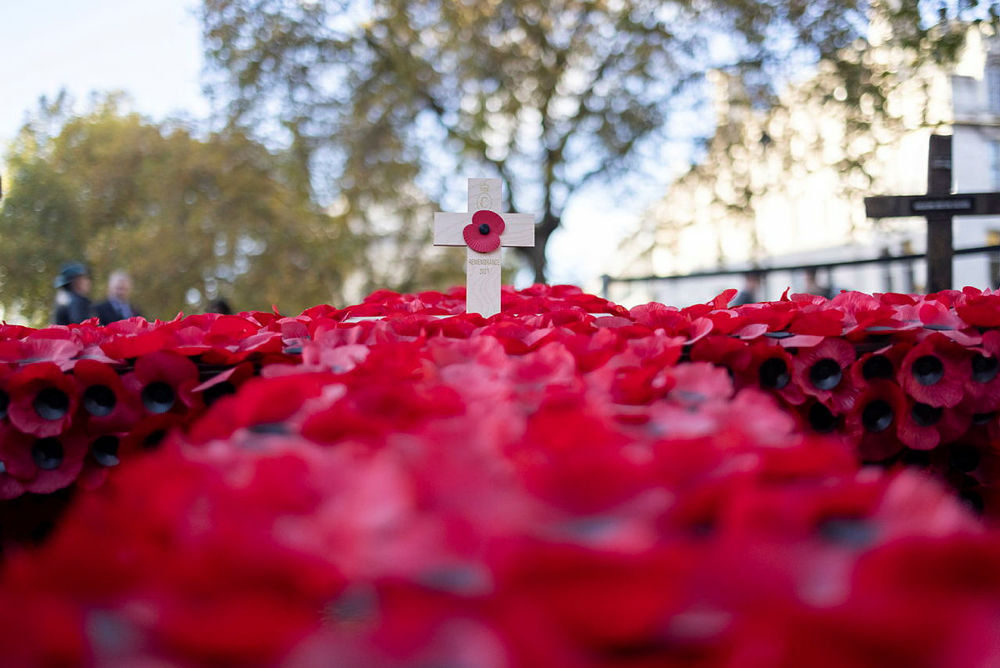 Remembrance Day poppy tribute featuring a bouquet of poppies around a central wooden cross. A poppy has also been affixed to the cross.