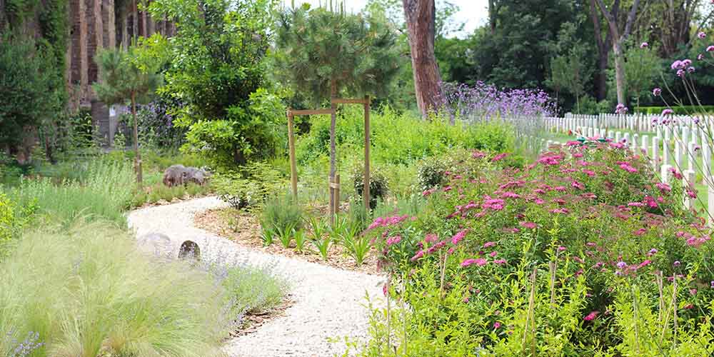 Reducing Greenhouse Gas Emissions, Enhancing Biodiversity: Our 2025 sustainability milestones