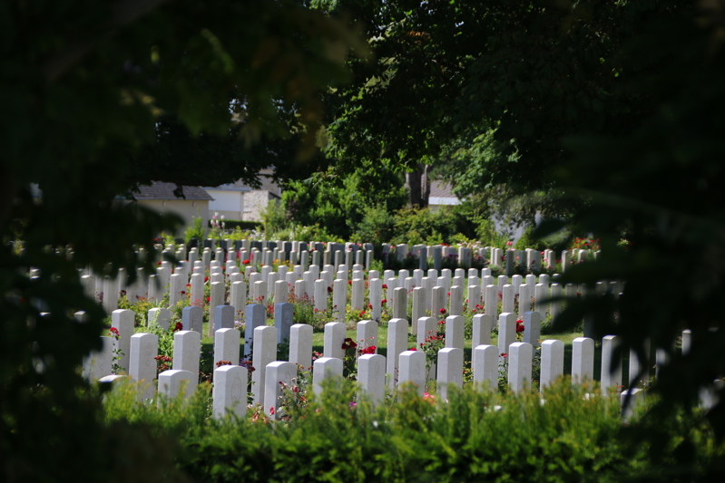 A view of rows of headstones at Bayeux War Cemetery framed by the leaves of two trees.