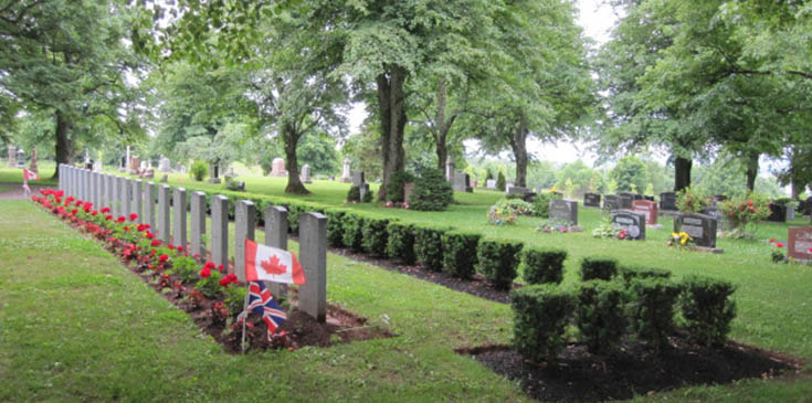 Our New Volunteering Program launches in Canada and the United States