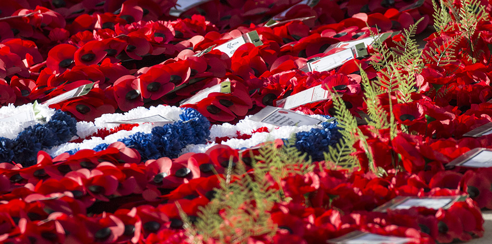 Interesting Remembrance Day Facts to Discover