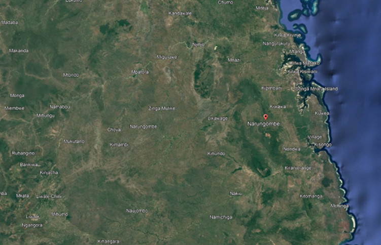 Satellite Map of Tanzania with Narungombe highlighted with a red pin.