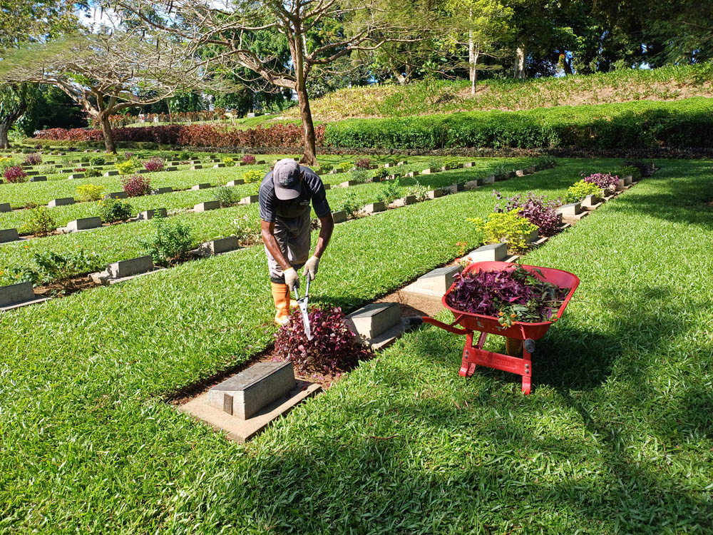 CWGC gardener trims plants in a headstone plot in Ambon War Cemetery.
