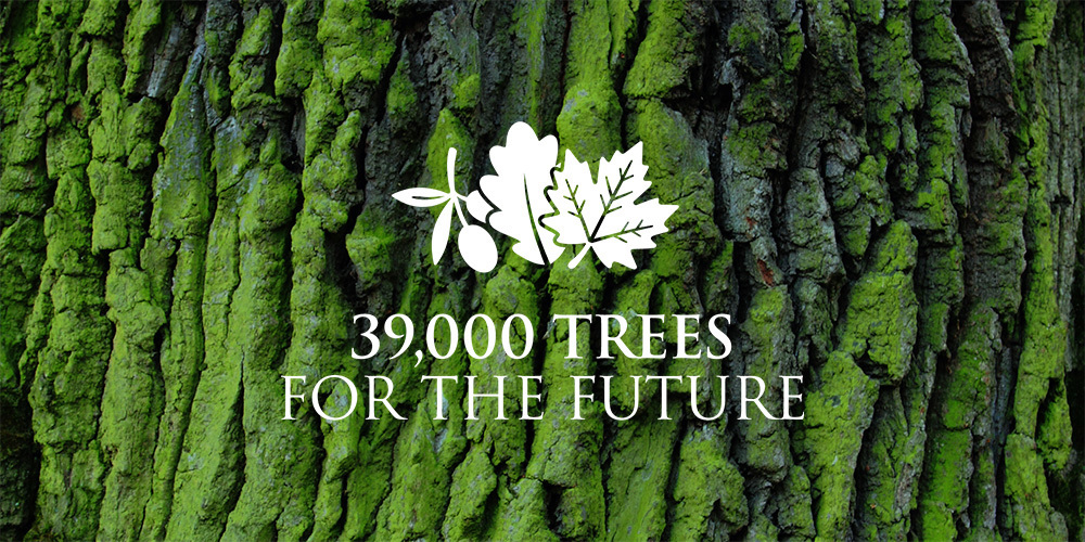 39,000 Trees for the Future logo on a green-moss covered barky tree.