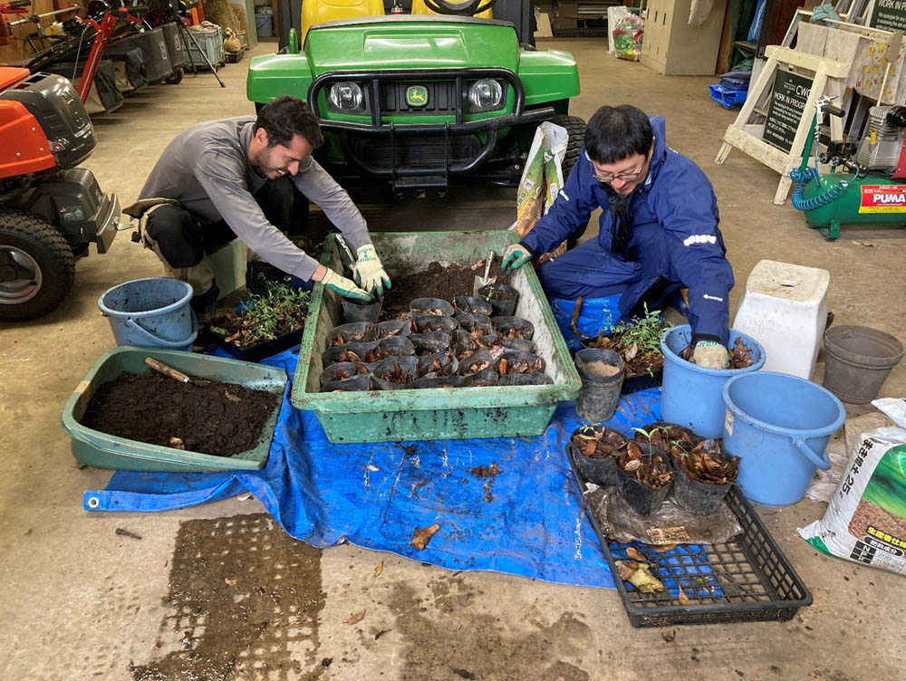 Two CWGC gardeners place cuttings in a large green tub full of dirt for planting. THe tub sits on a blue tarpaulin on the floor of a workshed. Various pieces of gardening equipment and machinery are visible in the background.