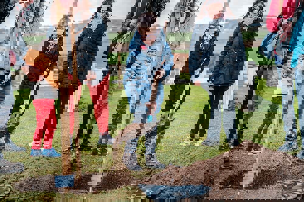 Guillemont Road Cemetery planting marks first of 39,000 trees by 2039