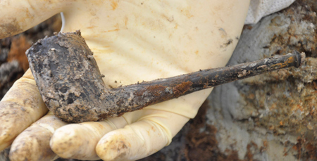 Archaeology & Forensic Anthropology