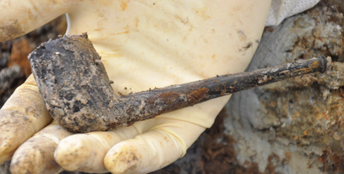 Archaeology & Forensic Anthropology