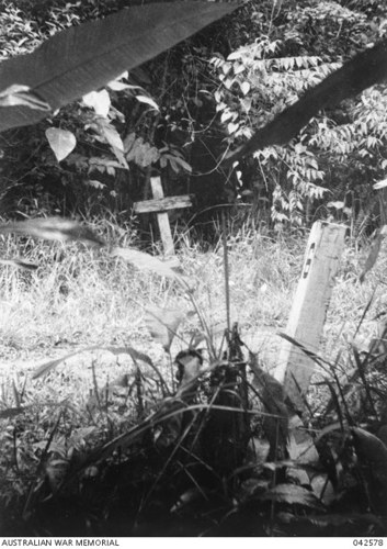 A wooden cross grave marker at the side of a road in Sandaka, Indonesia. Long grass, tree branches, and other greenery is nearly claiming the grave marker as it grows all around it.