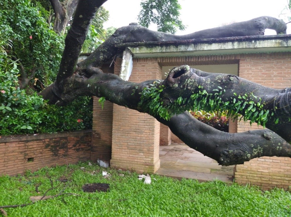 Our Work Continues – restoring the world’s smallest CWGC cemetery
