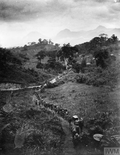 An overheard view of a column of troops pushing through the African bush. High mountains can be seen in the background.