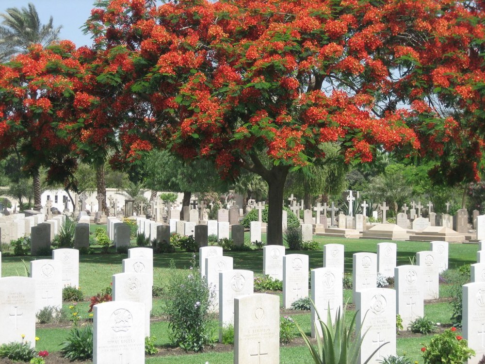 Cairowarmemorialcemetery2006