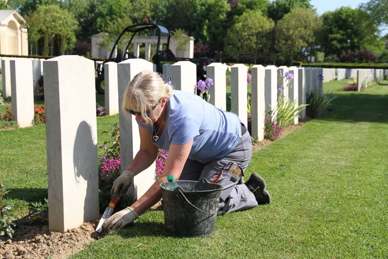 A CWGC gardener tending to the borders of a row of headstones at Bayeux War Cemetery