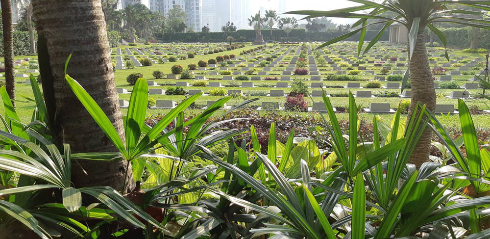 View of Jakarta War Cemetery taken from the palms and tropical plants at the edge of the cemetery. From this perspective, we can see rows of low, black bronze grave markers stretching towards a wall. Various exotic plants decorate the grave plot borders.