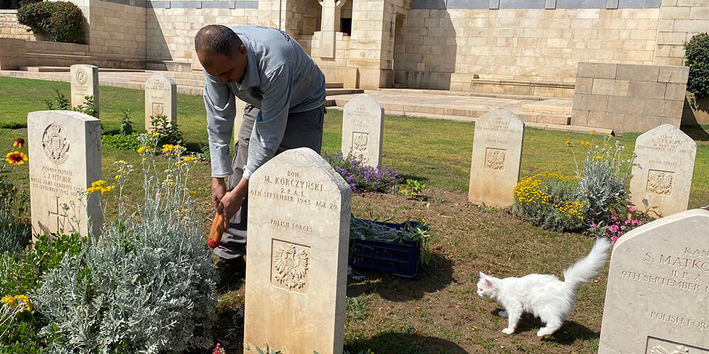 Polish and Commonwealth headstones, Gaza War Cemetery