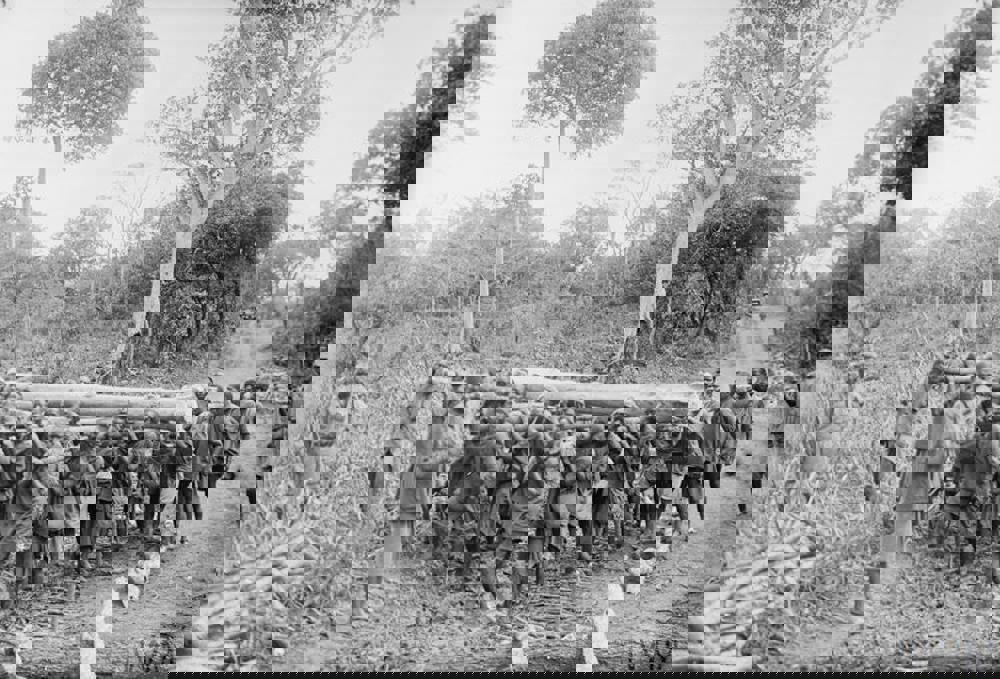 Black African labourers lift a fallen tree out of a road.