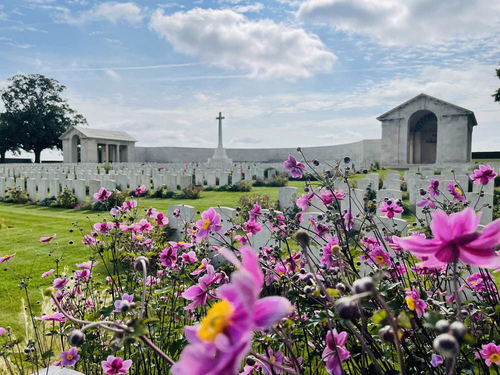 Close up of colourful bright purplepink fuschias ahead of headstones, memorial entrance building, and Cross of Sacrifice at Serre Road No.2