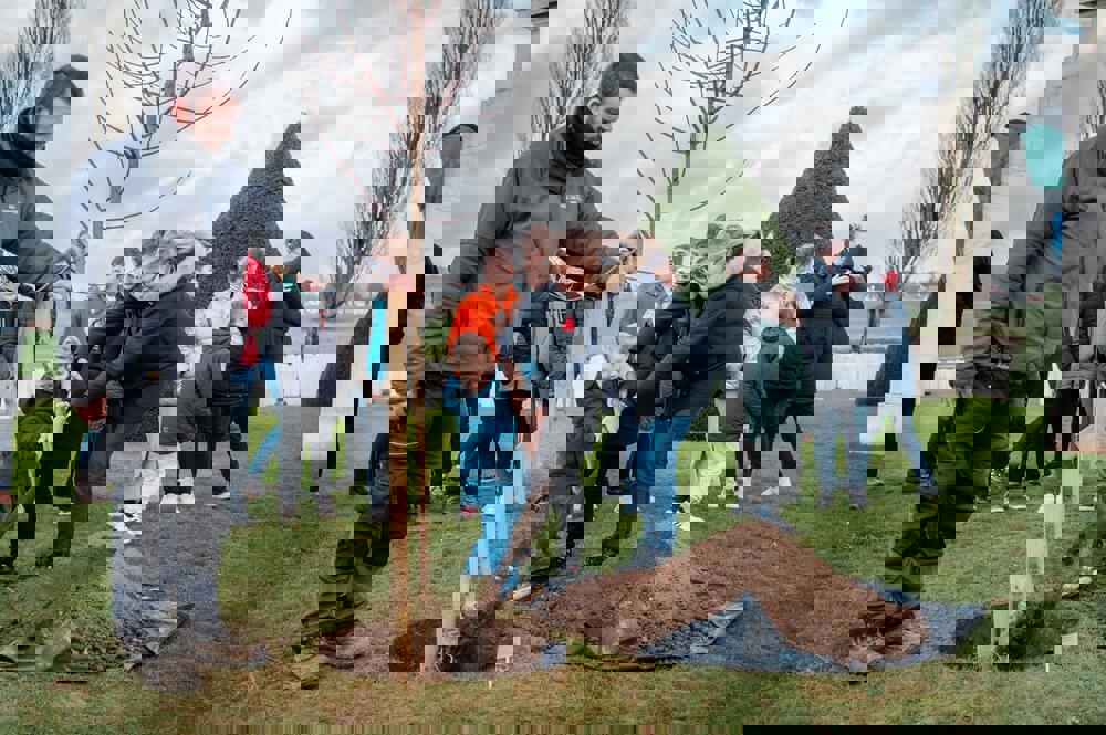 Tree planting at Guillemont Road Cemetery