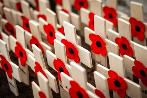 Poppies on wooden crosses