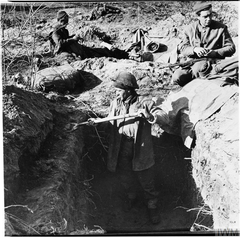 British soldiers digging trenches at Anzio.