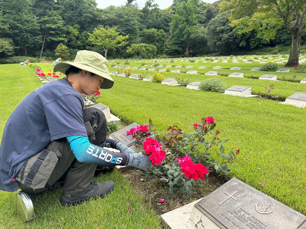 A gardener trims colourful red blooms in a grave plot at Yokohama War Cemetery.