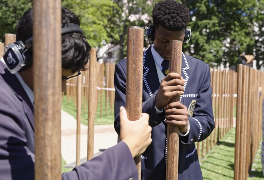 Read Non-Commemoration Progress Report - Number 14